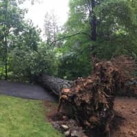 <p>A tree was knocked down and struck a Rockland County home.</p>