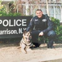 Retired Sergeant, Canine Handler Who Served In Westchester Dies At 50: 'Exemplary Member'