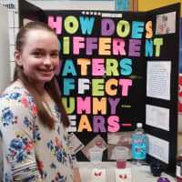 <p>This project using Gummy Bears was showcased at the recent STEMFest held March 5 at the Southern Westchester BOCES Center for Career Services in Valhalla.</p>