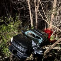 Car Rolls Over, Lands On Brush By Taconic State Parkway In Millwood