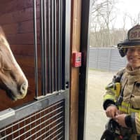 Horse Pulls Fire Alarm At Farm In Bedford