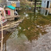 <p>Flooding at Kimmy's Safe Haven Rescue in Egg Harbor City, NJ.
  
</p>