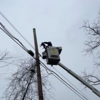 Cat Rescued From Utility Wires In Warren County: Animal Control