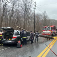 <p>The recuse efforts after the tree fell on the SUV.</p>