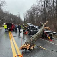 <p>The rescue efforts after the tree fell on the SUV.</p>