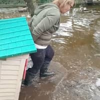 <p>Flooding at Kimmy's Safe Haven Rescue in Egg Harbor City, NJ.
  
</p>