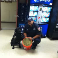 <p>Westchester County Police Officer Dave Sanchez and his K9 partner Sal.</p>