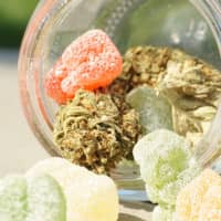 Pennsauken Middle Schoolers Hospitalized After Eating Marijuana Gummies