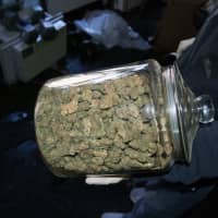<p>A grow house was discovered in Yonkers following a motor vehicle crash.</p>