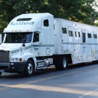 <p>Sallee Horse trailer</p>