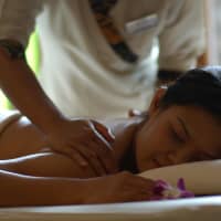 <p>Shining Spa has a unique combination of traditional Qi-Gong Tui-Na Deep Tissue Massage blended with Swedish and Shiatsu techniques.</p>