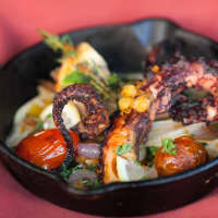 <p>The sizzling Spanish octopus at 8 North Broadway</p>