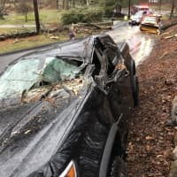 <p>A driver was saved by firefighters after a tree fell on his truck.</p>