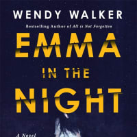<p>Wendy Walker&#x27;s latest book is &quot;Emma In The Night.&quot;</p>
