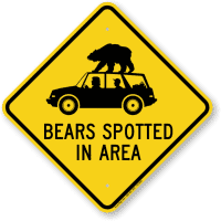 <p>A bear was spotted in Ridgefield.</p>