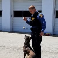 <p>Morris County Sheriff’s Office Detective Marc Adamsky and his K-9 partner Tim</p>