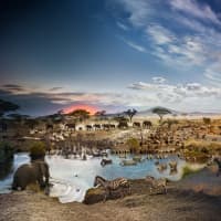 <p>Stephen Wilkes created &quot;Serengeti National Park, Tanzania, 2015.&quot;</p>