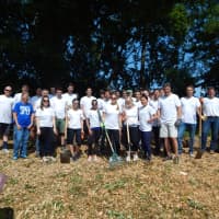 <p>The afternoon shift of AXA IM volunteers</p>