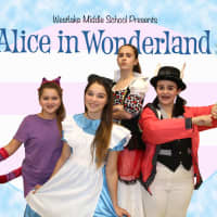 <p>Watch &quot;Alice in Wonderland, Jr.&quot;</p>