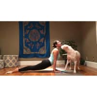 <p>&quot;Chief Yoga Mechanic&quot; Aline Marie with her dog, Truth, at her new yoga studio in Newtown.</p>