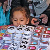 <p>The choices will be many (and difficult) on Sun., Jan. 29 when The Chocolate Expo returns to The Maritime Aquarium at Norwalk.</p>