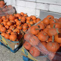 <p>Children can decorate pumpkins at the Community Harvest Festival</p>