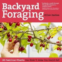<p>Ellen Zacho&#x27;s book &quot;Backyard Foraging: 65 Familiar Plants You Didn’t Know You Could Eat.&quot;</p>