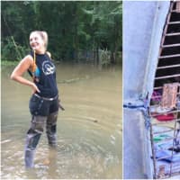 <p>Watch Ashley Gardenier of Southern Paws in Ringwood on Animal Planet for her efforts in the Louisiana flood.</p>