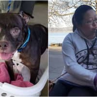 <p>Phoebe, formerly Dottie, with Orangeburg&#x27;s Vivian Wong, 35, who met the pit-mix at work as a vet tech.</p>