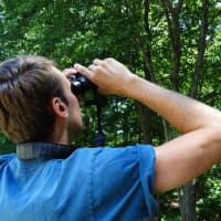 <p>Binoculars are a valuable tool for birders.</p>