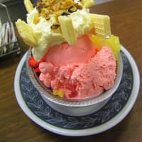 <p>Bischoff&#x27;s ice cream sundae. All ice cream is made on the premises, just like it always has been.</p>