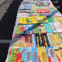 <p>More than 10,000 books have been collected for the fourth annual White Plains Free Book Celebration. Saturday at Eastview Middle School. It runs from 10 a.m. to noon.</p>
