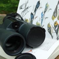 <p>The essentials of birding.</p>