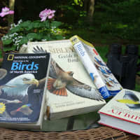 <p>Several different field guides.</p>