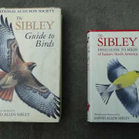 <p>A comparison between the first editions of David Sibley&#x27;s national, left, and regional, right, field guides.</p>