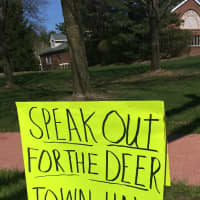 <p>The governing body introduced a resolution to permit bow hunting in the borough on Feb. 22 in an effort to address resident complaints about the growing deer population.</p>