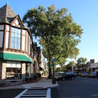 <p>The Bronxville Board of Trustees and Mayor Mary Marvin are looking to revitalize the village&#x27;s downtown business district.</p>