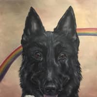 <p>K-9 Bruno, who passed away earlier this month, has been captured in paint by artist Rachael Chandler.</p>