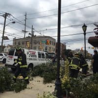 <p>Local authorities worked to clear the downed tree from the truck and sidewalk.</p>