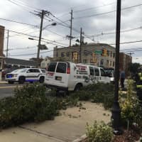 <p>A tree fell on a local plumbing truck late Thursday afternoon.</p>