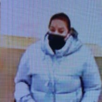 <p>Authorities on Long Island have asked the public for help locating the individuals who stole a woman&#x27;s purse which is valued at about $3,100.</p>