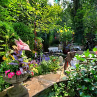 <p>With all its trees, plants and lush flowers, Café Matisse&#x27;s outdoor patio may make patrons think they&#x27;re dining in Tuscany or Paris.</p>