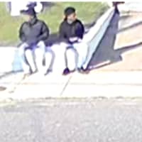 <p>Suspects from a home-invasion robbery in Long Branch.</p>