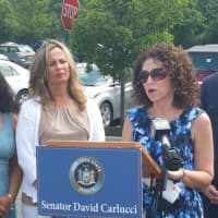 <p>New City resident Caren Schwartz talks about losing her son, Reid, to heroin. At right is StaSen. David Carlucci who had announced the passage of his bill requiring Naloxone, a life-saving anti-opioid, to be sold over-the-counter at chain drugstores.</p>