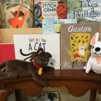 <p>Pair a children&#x27;s book with the character stuffed animal from the story for the gift of reading and more at Byrd&#x27;s Books in Bethel.</p>