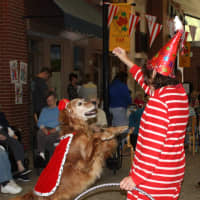 <p>Waveny’s volunteer pet therapy dog, Meca, as “the gentle lion.”</p>