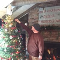 <p>PJ Madsen, an employee of the Cockburn Family Farm in Garrison, barely needs a ladder to put the final trimmings on a Christmas tree.</p>