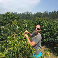 <p>Mike Love of Coffee Lab Roasters in Tarrytown visits a coffee farm in Hawaii, one of the sustainable operations he uses to source product for his brews.</p>
