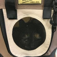 <p>Troopers found an abandoned cat the Cortlandt Train Station on Thursday.</p>
