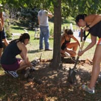 <p>Inspira Marketing spent a Sunday working on the gardens and grounds of Columbus Magnet School in Norwalk</p>